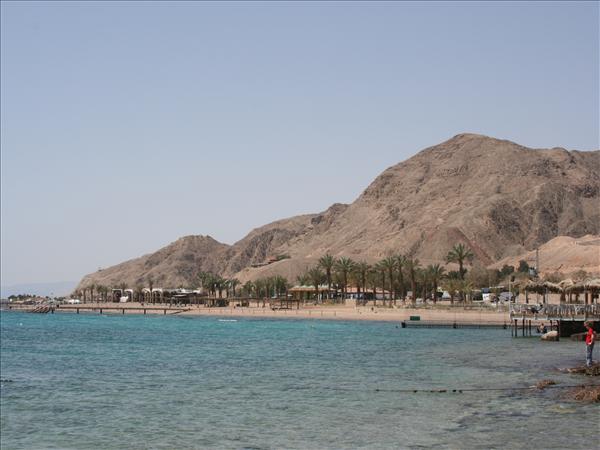 The Red Sea 042.jpg